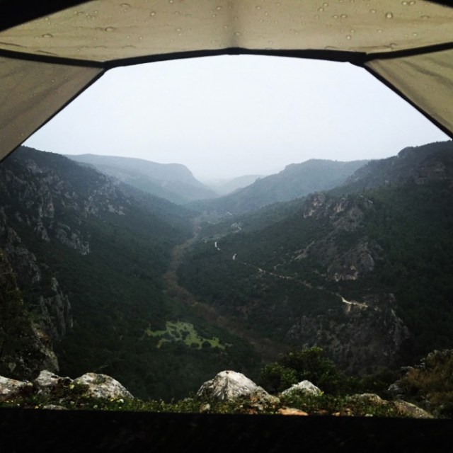 Boom 2016-06-30 at 11.26.47