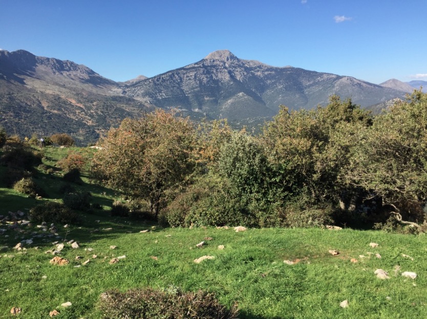 Boom 2016-06-30 at 11.39.00