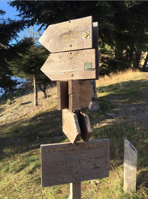 Boom 2016-06-30 at 08.18.57