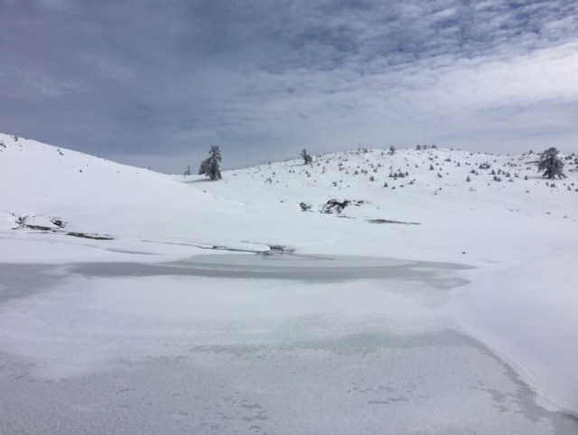 Boom 2016-06-30 at 12.27.50