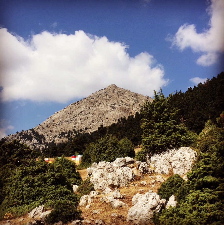 Artemisio_Mountain_06