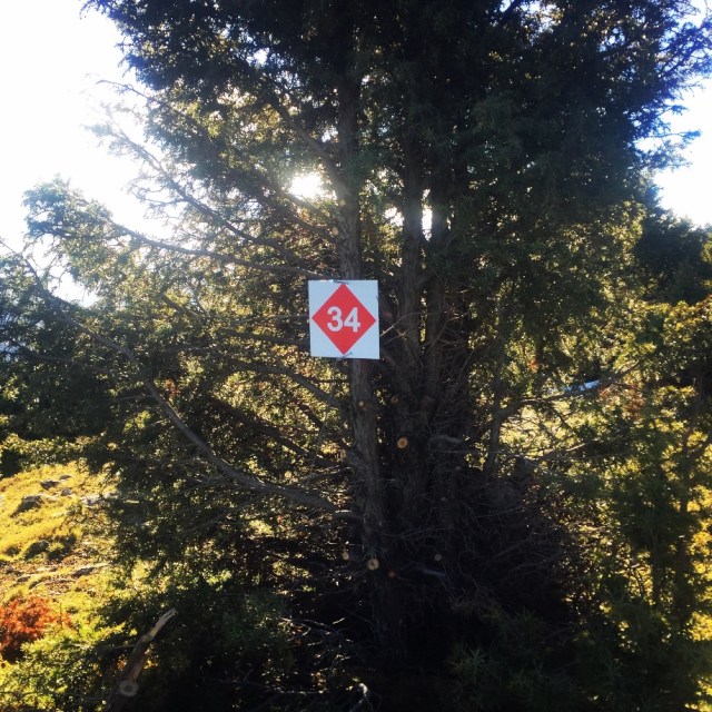 artemisio_mountain_winter_02