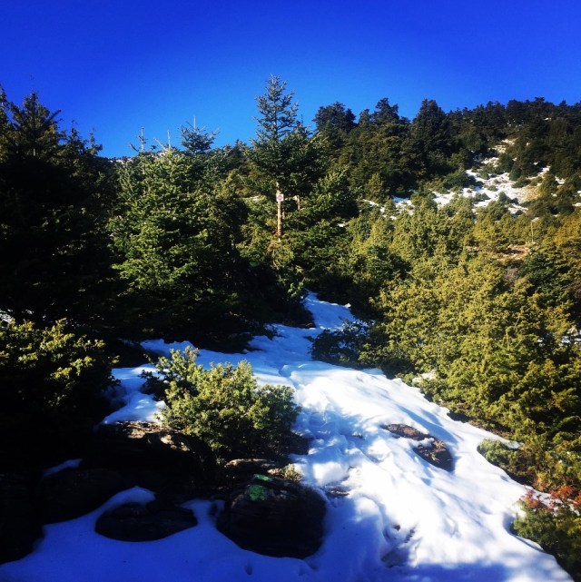 artemisio_mountain_winter_03