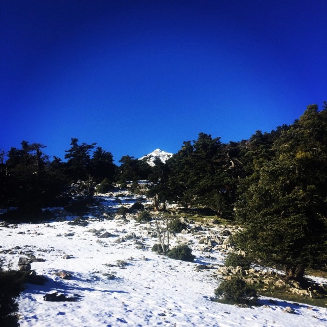 artemisio_mountain_winter_04