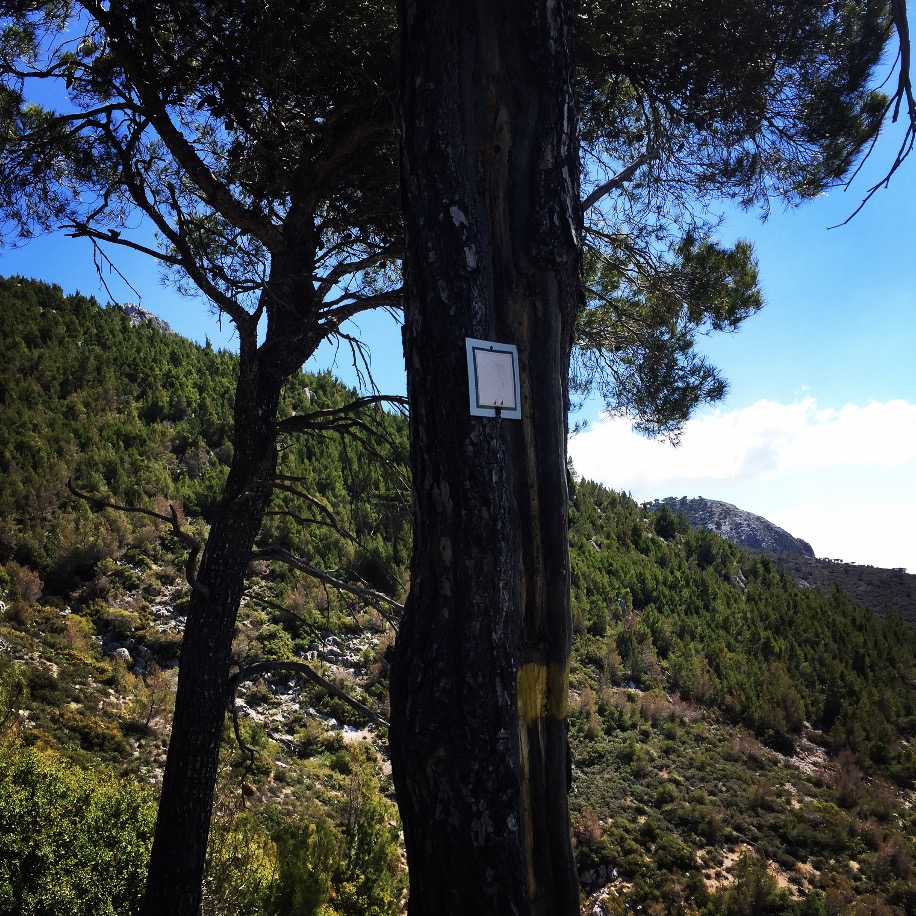 Gerania_Spring_Ascent_04