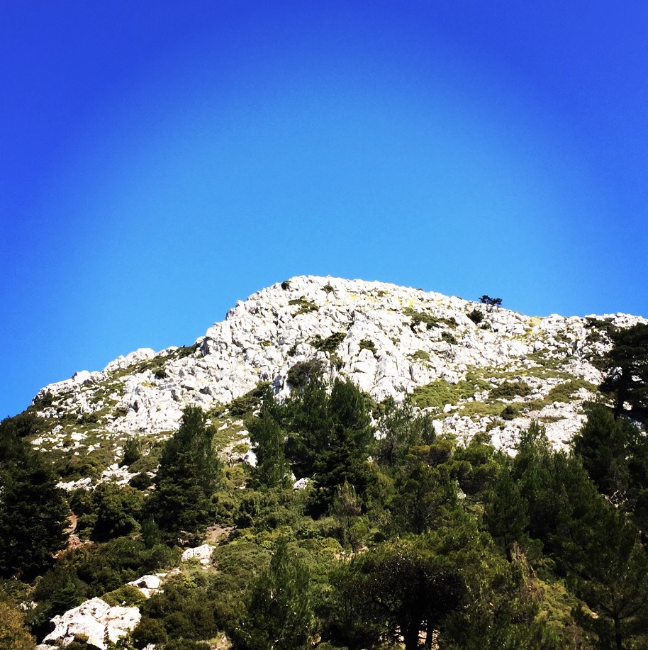 Gerania_Spring_Ascent_06