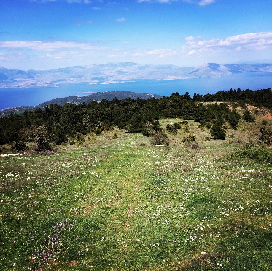 Gerania_Spring_Ascent_11