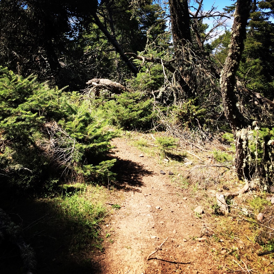 Gerania_Spring_Ascent_17