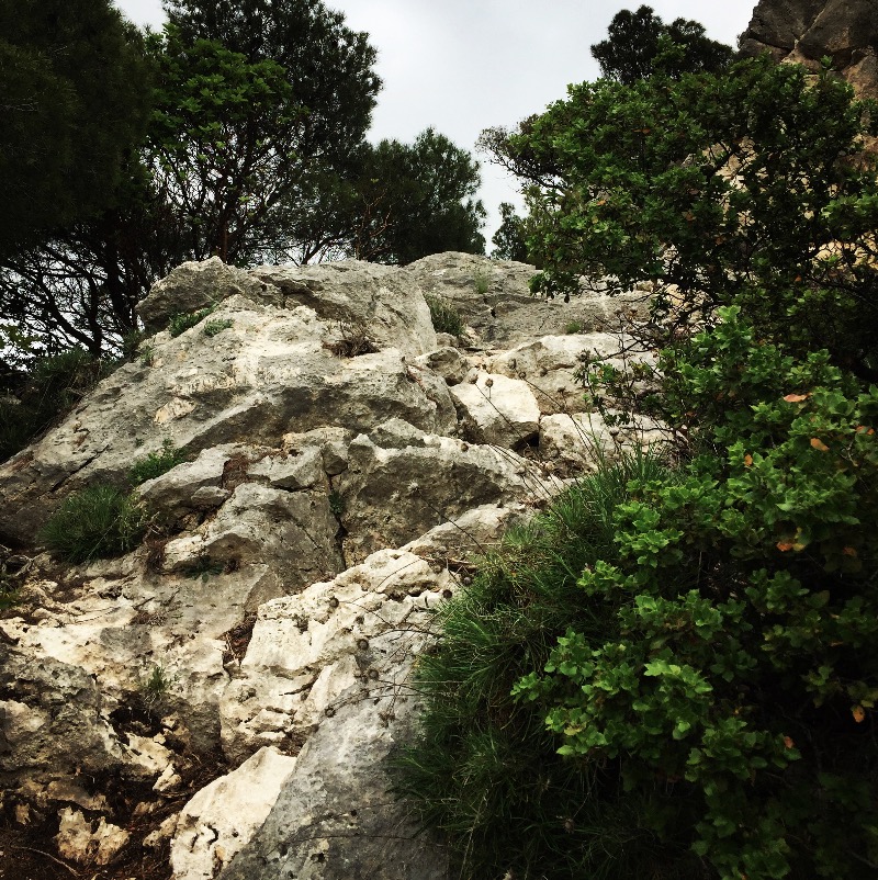 Parnitha_Flabouri_Ridge_02