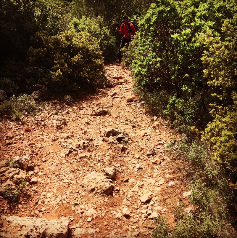 Parnitha_Flabouri_Ridge_18