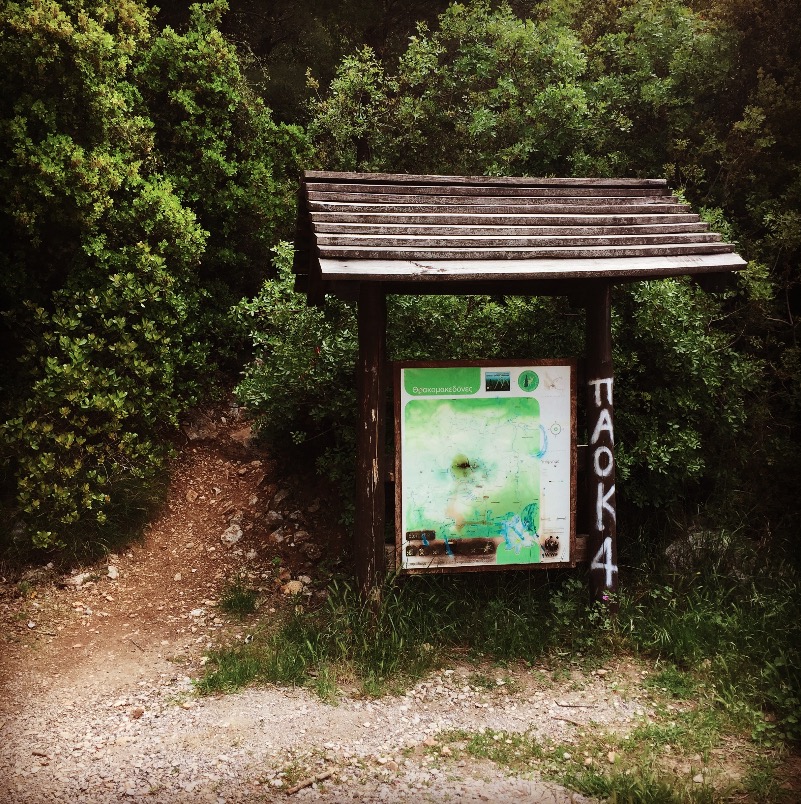 Parnitha_Flabouri_Ridge_19