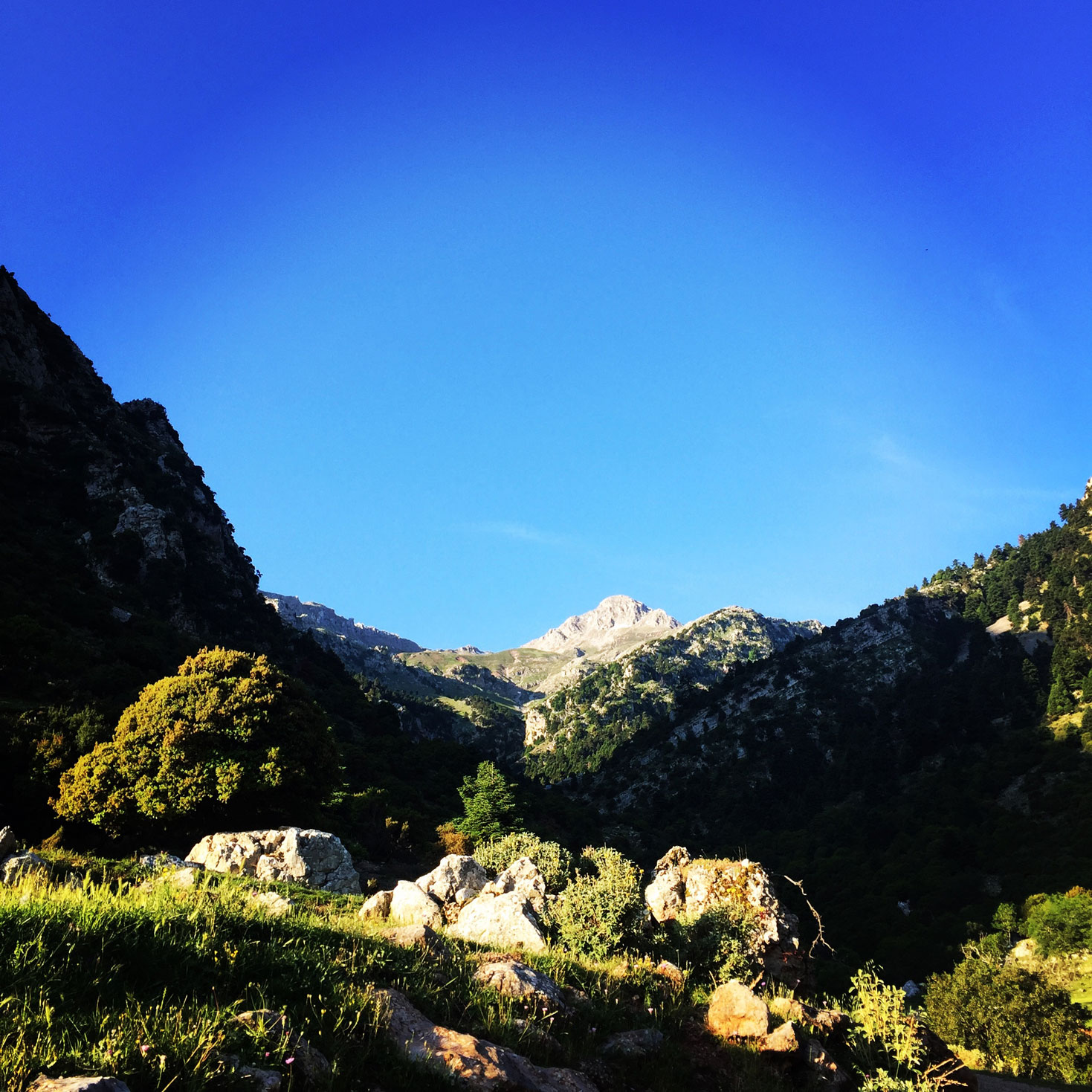 Erymanthos_Mountain_2017_02