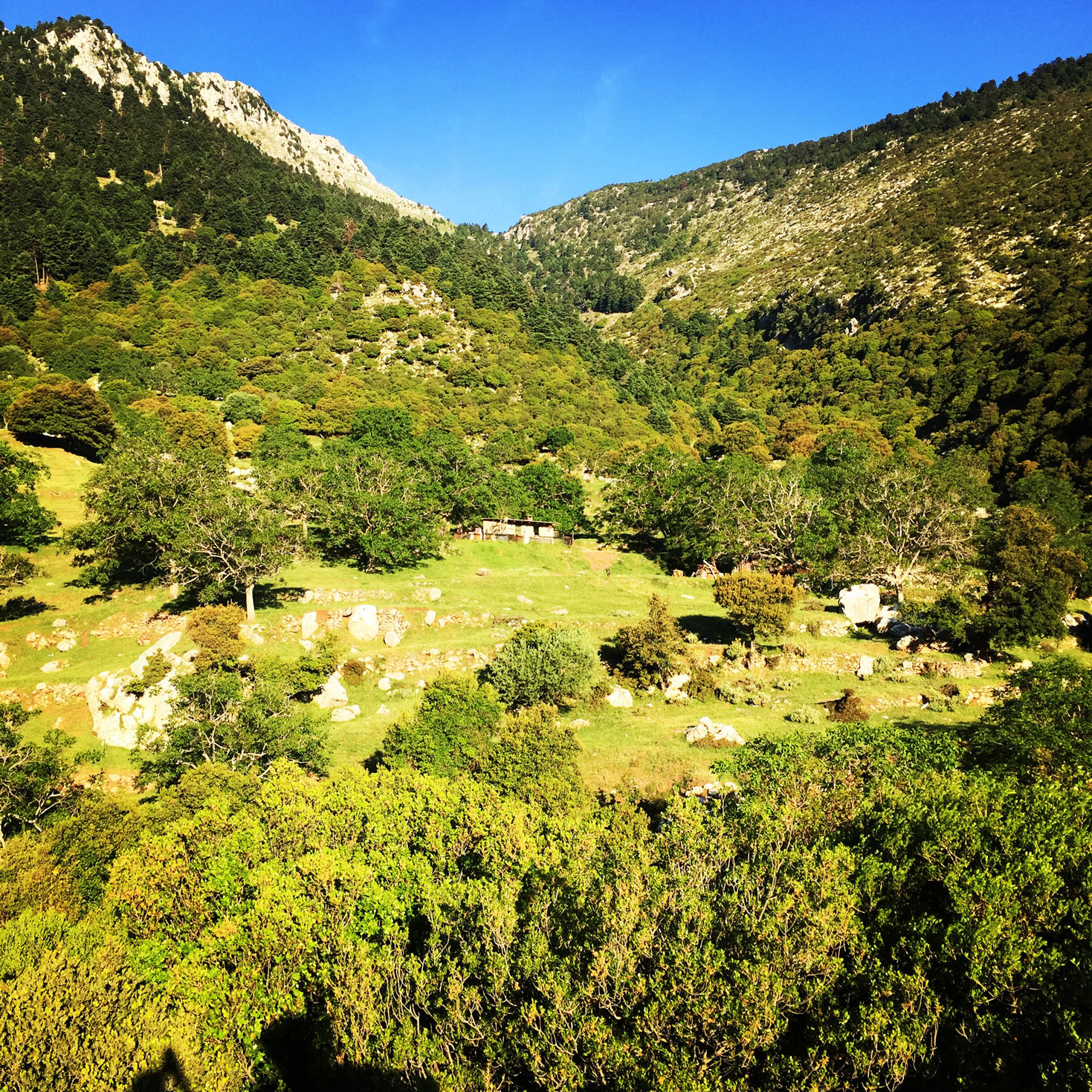 Erymanthos_Mountain_2017_03