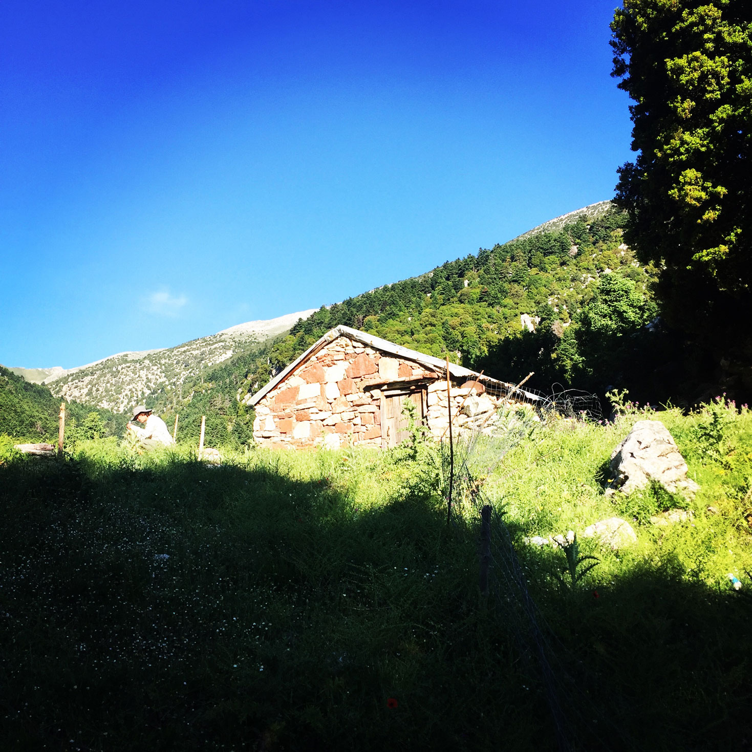 Erymanthos_Mountain_2017_07