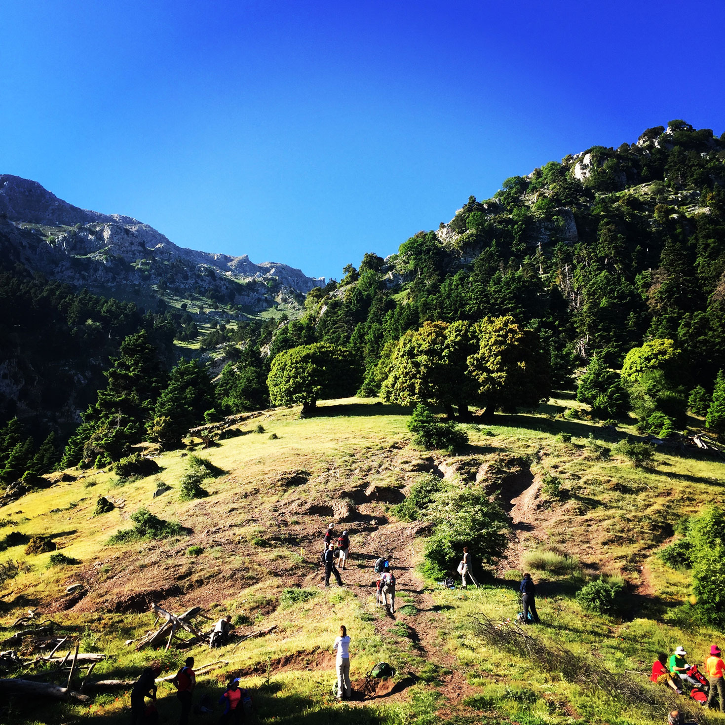 Erymanthos_Mountain_2017_08