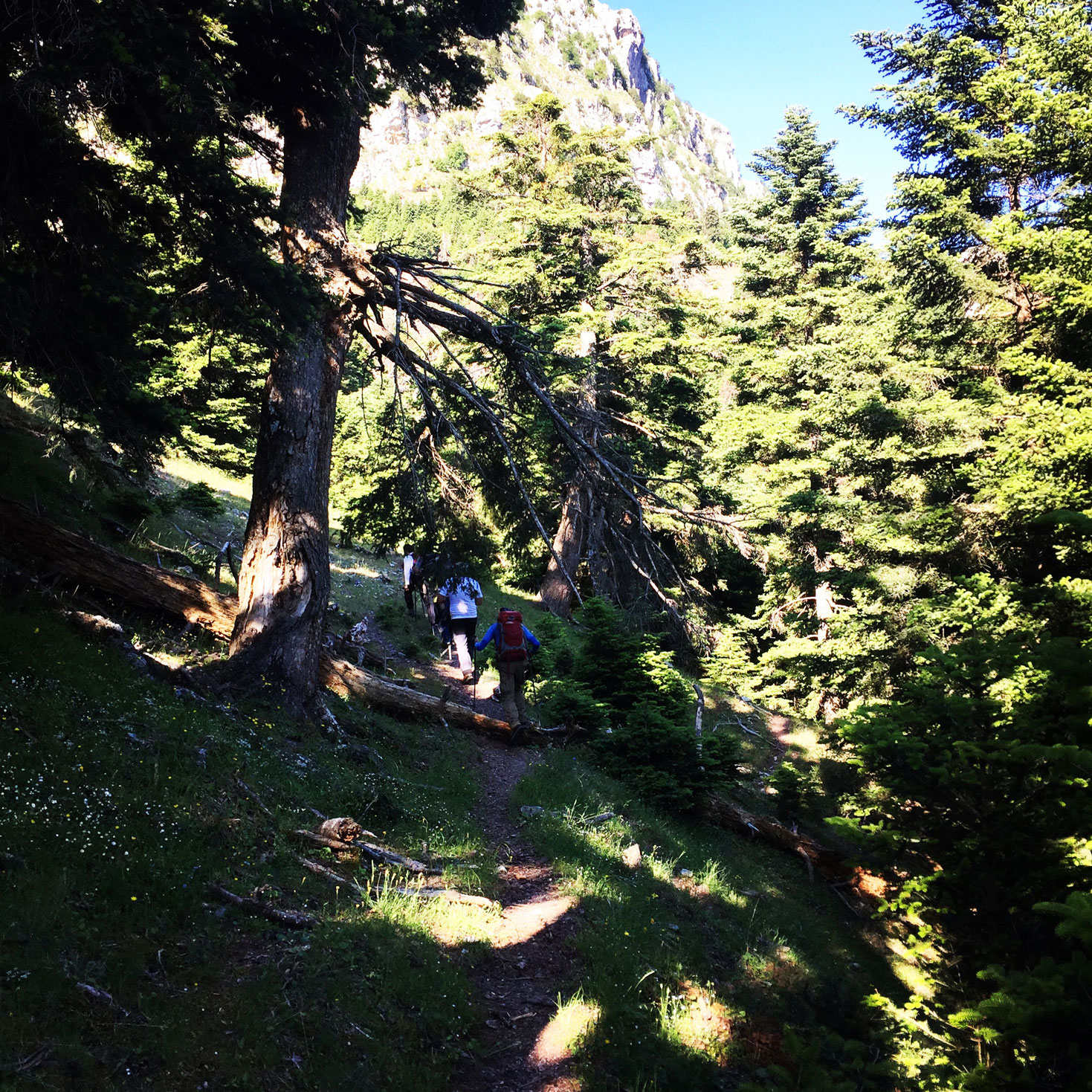 Erymanthos_Mountain_2017_09