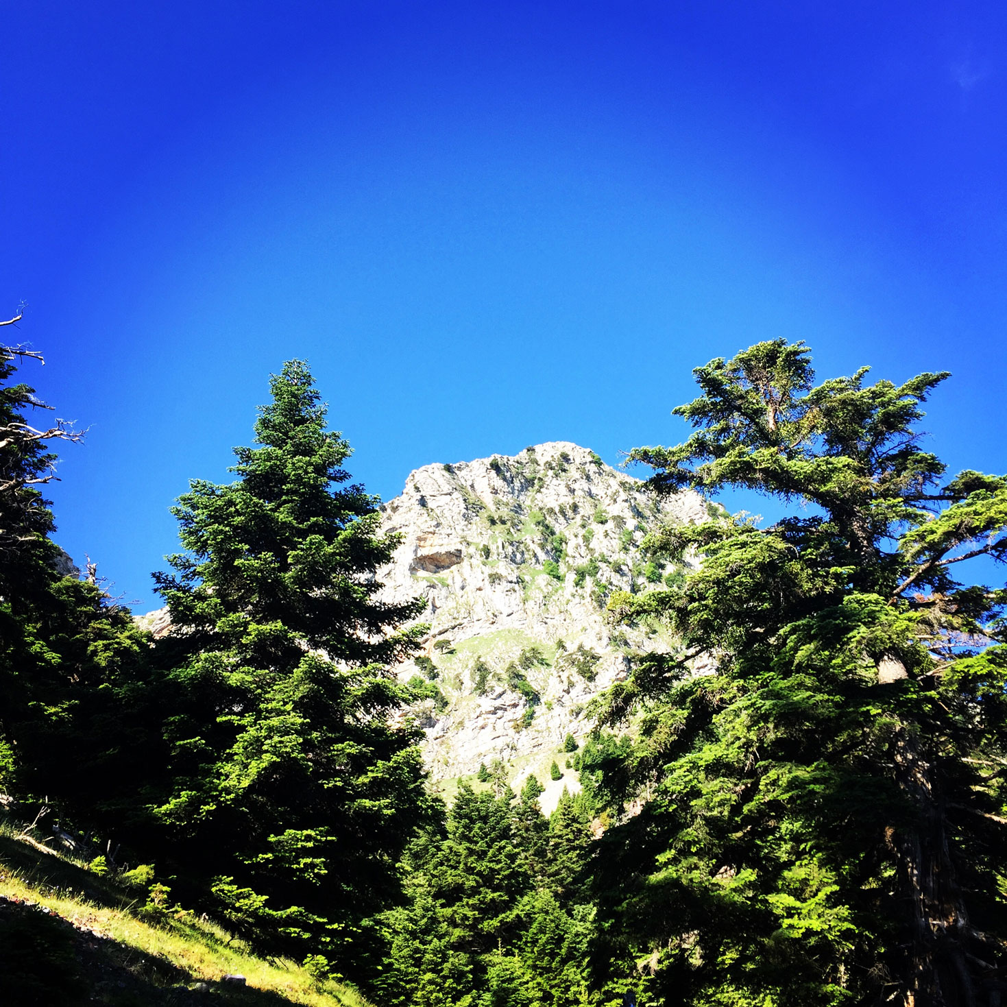 Erymanthos_Mountain_2017_10