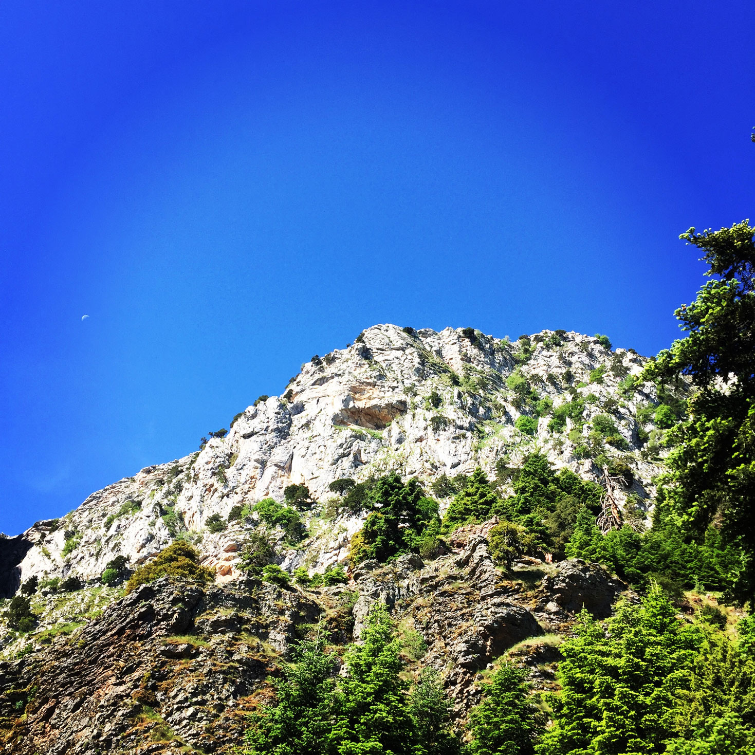 Erymanthos_Mountain_2017_11