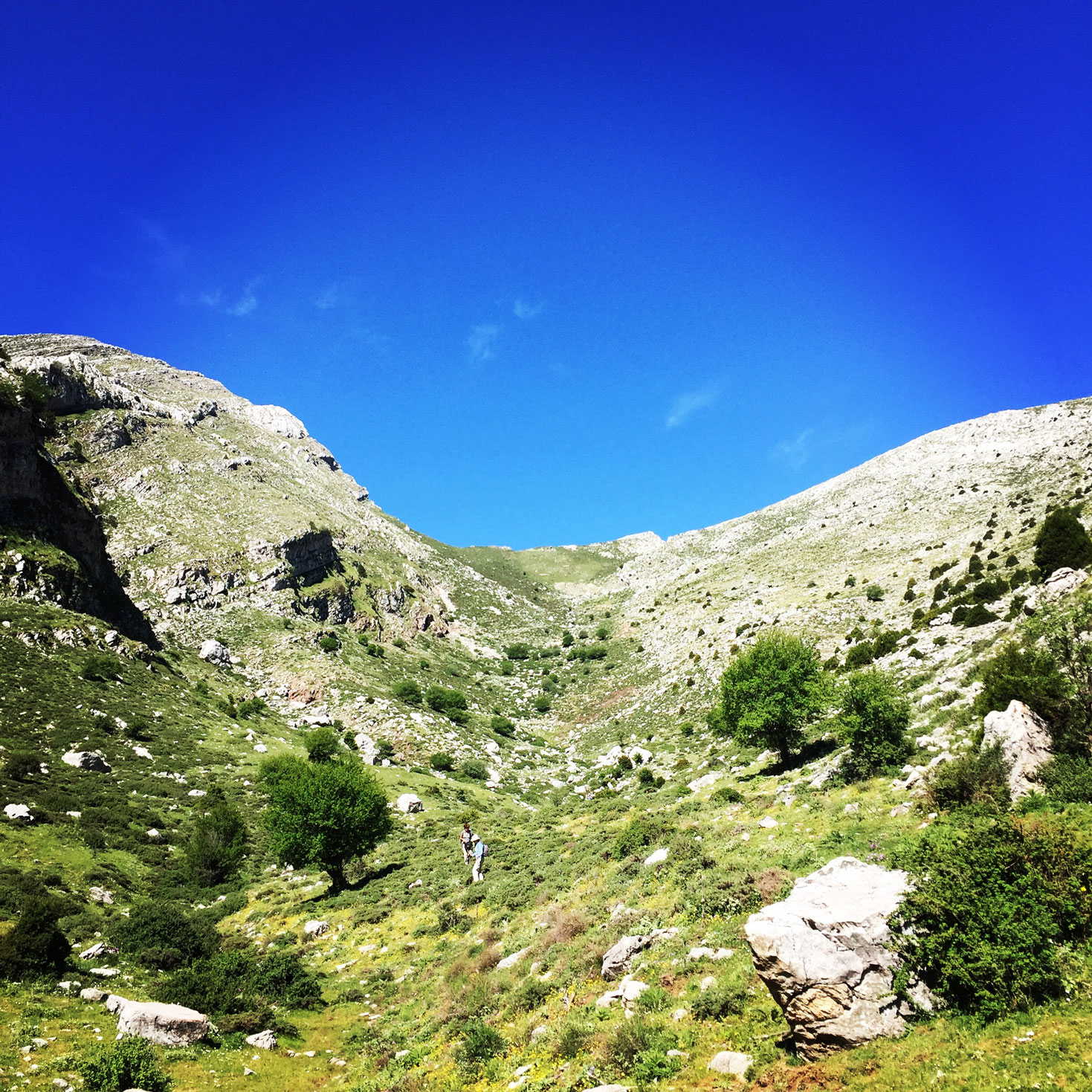 Erymanthos_Mountain_2017_12