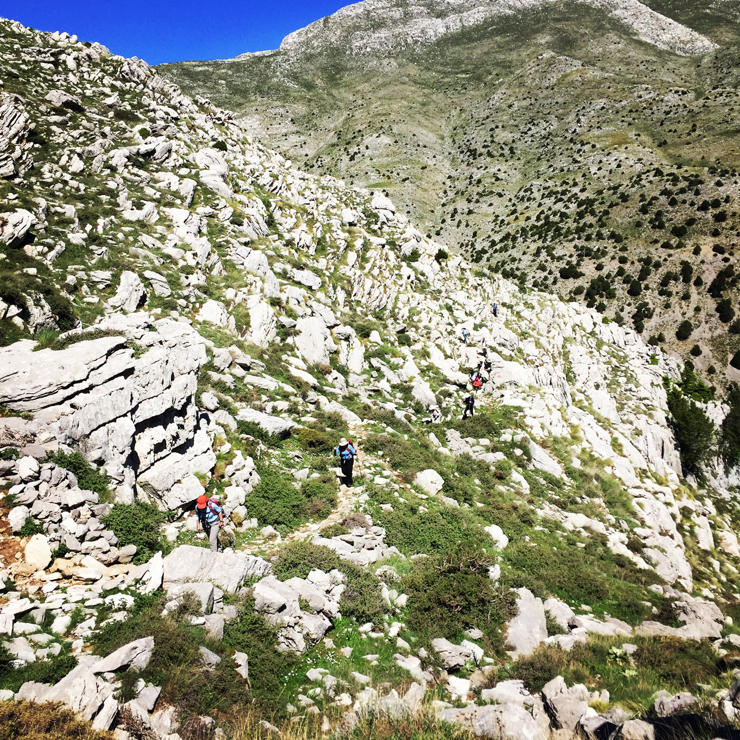 Erymanthos_Mountain_2017_14