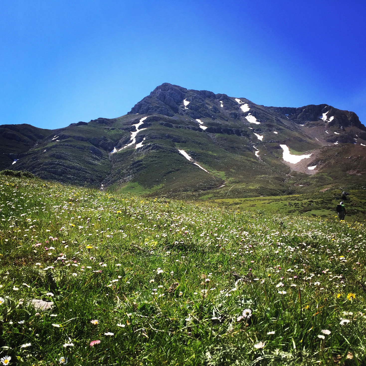 Erymanthos_Mountain_2017_17