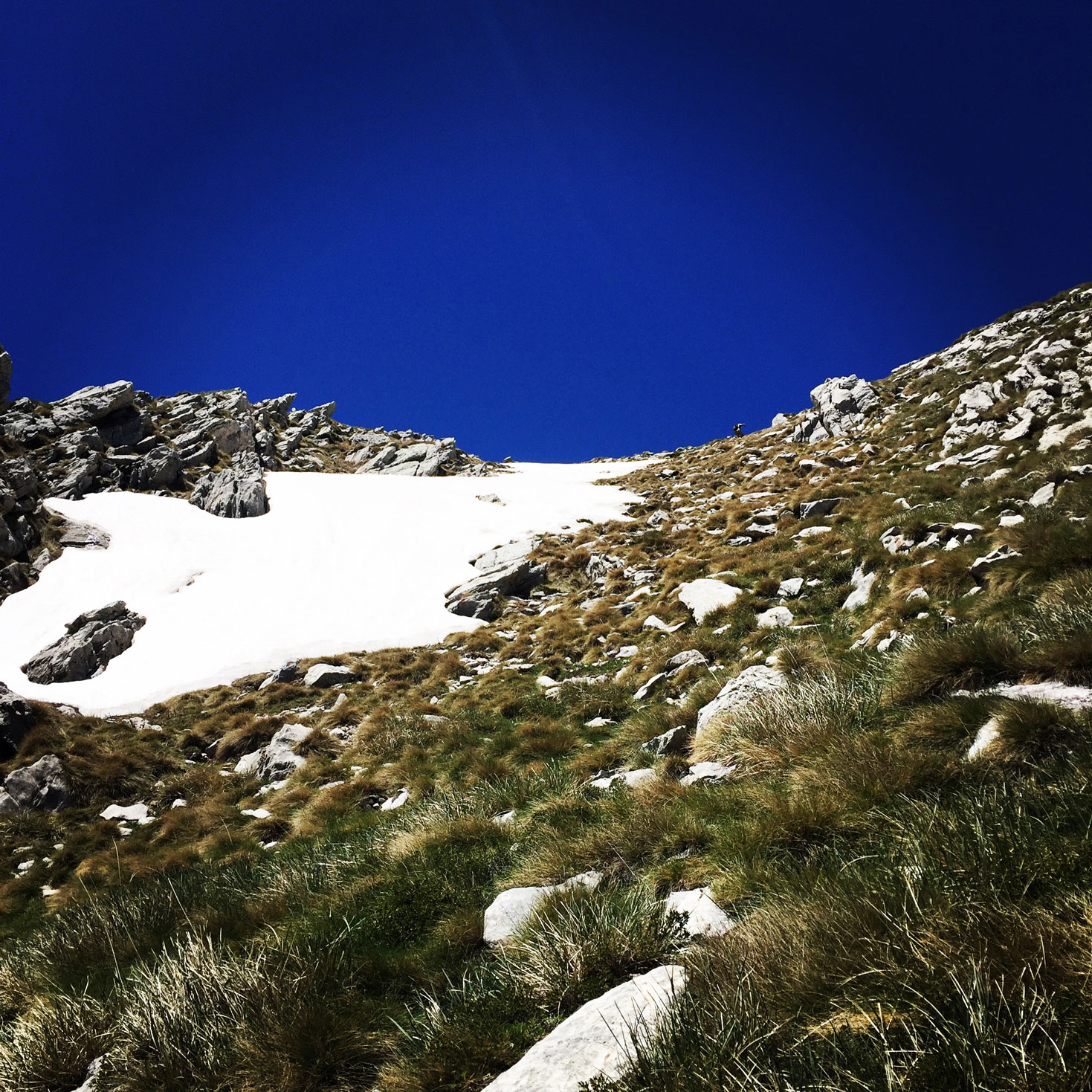 Erymanthos_Mountain_2017_22