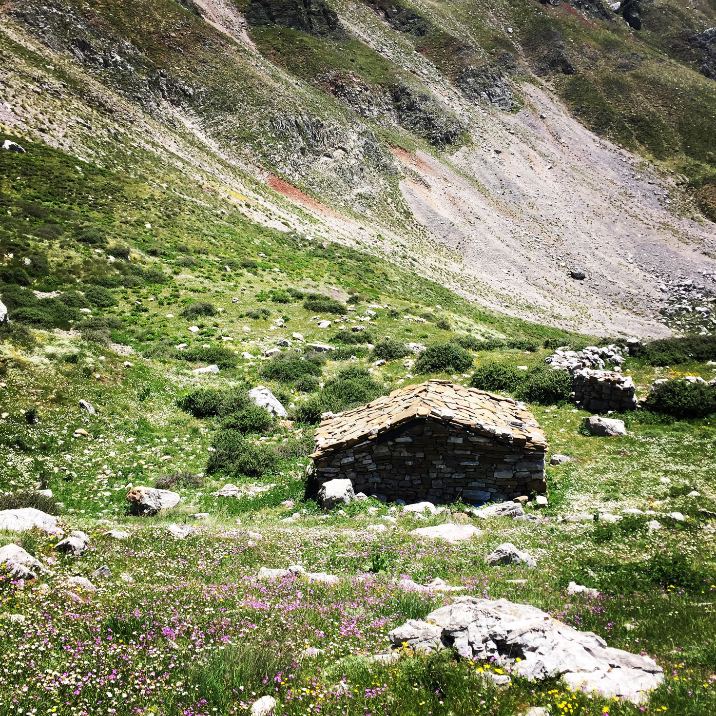 Erymanthos_Mountain_2017_28