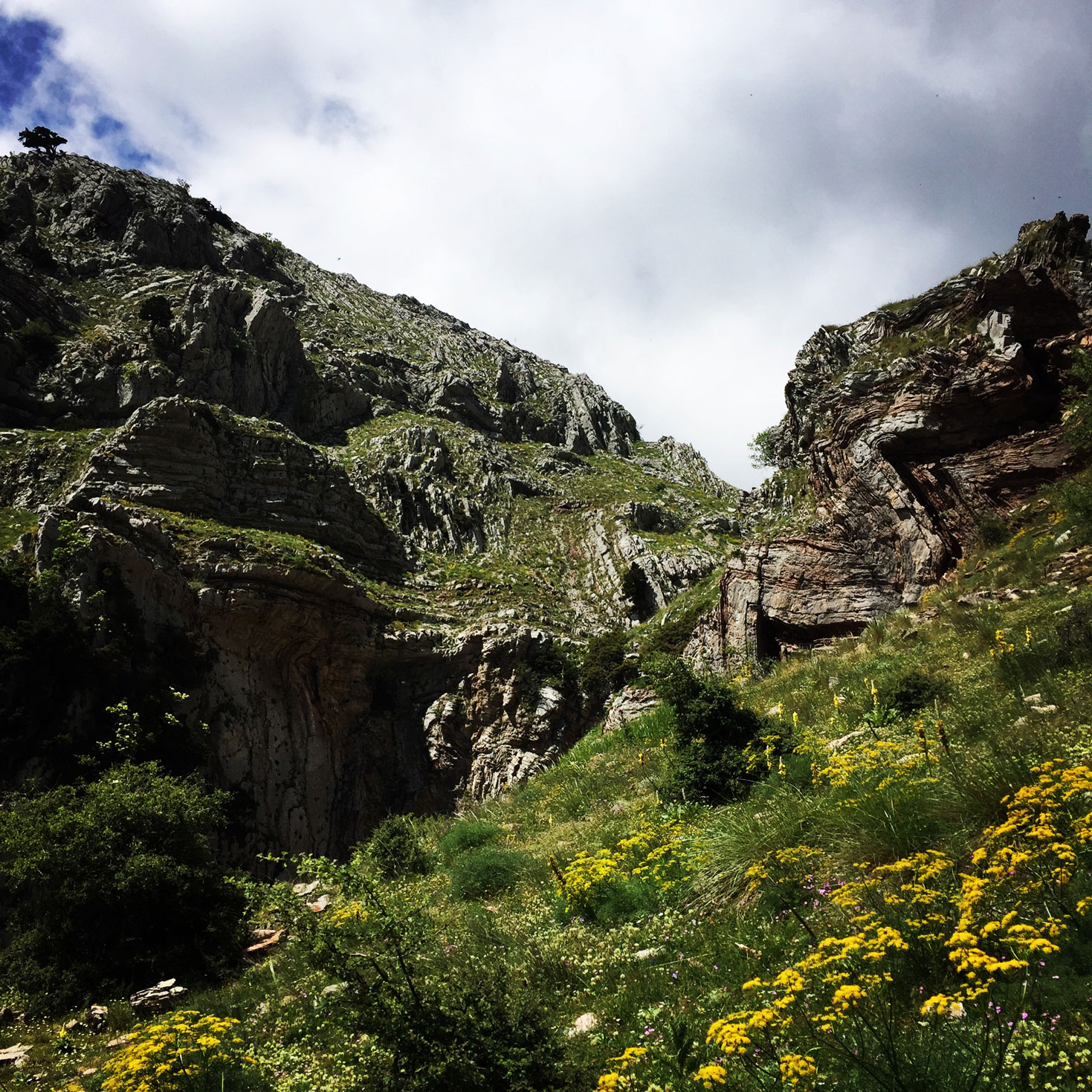 Erymanthos_Mountain_2017_31