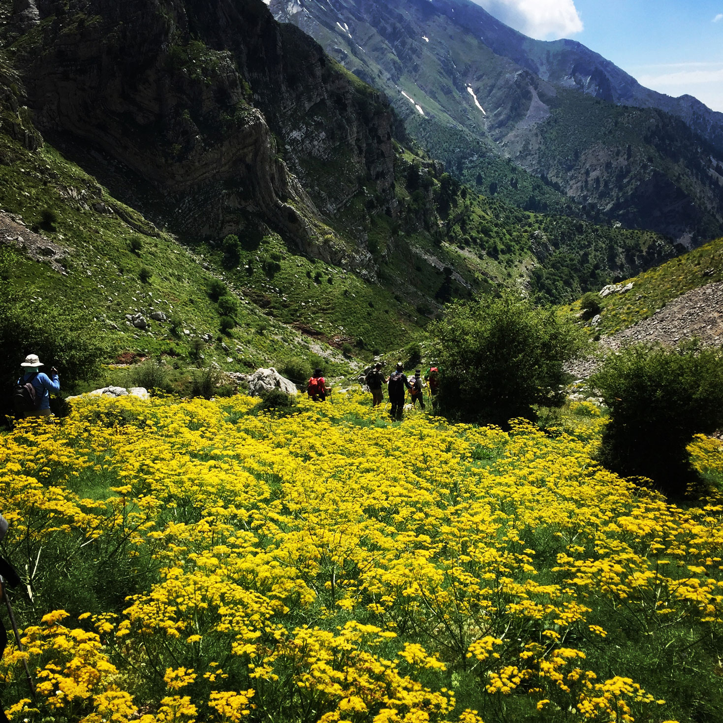 Erymanthos_Mountain_2017_32