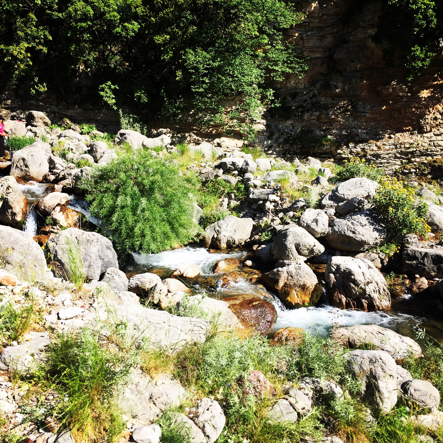 Erymanthos_Mountain_2017_35