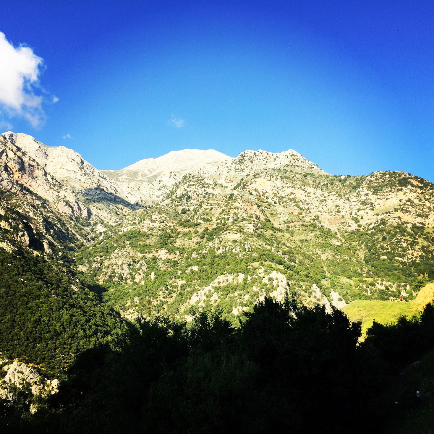 Erymanthos_Mountain_2017_38