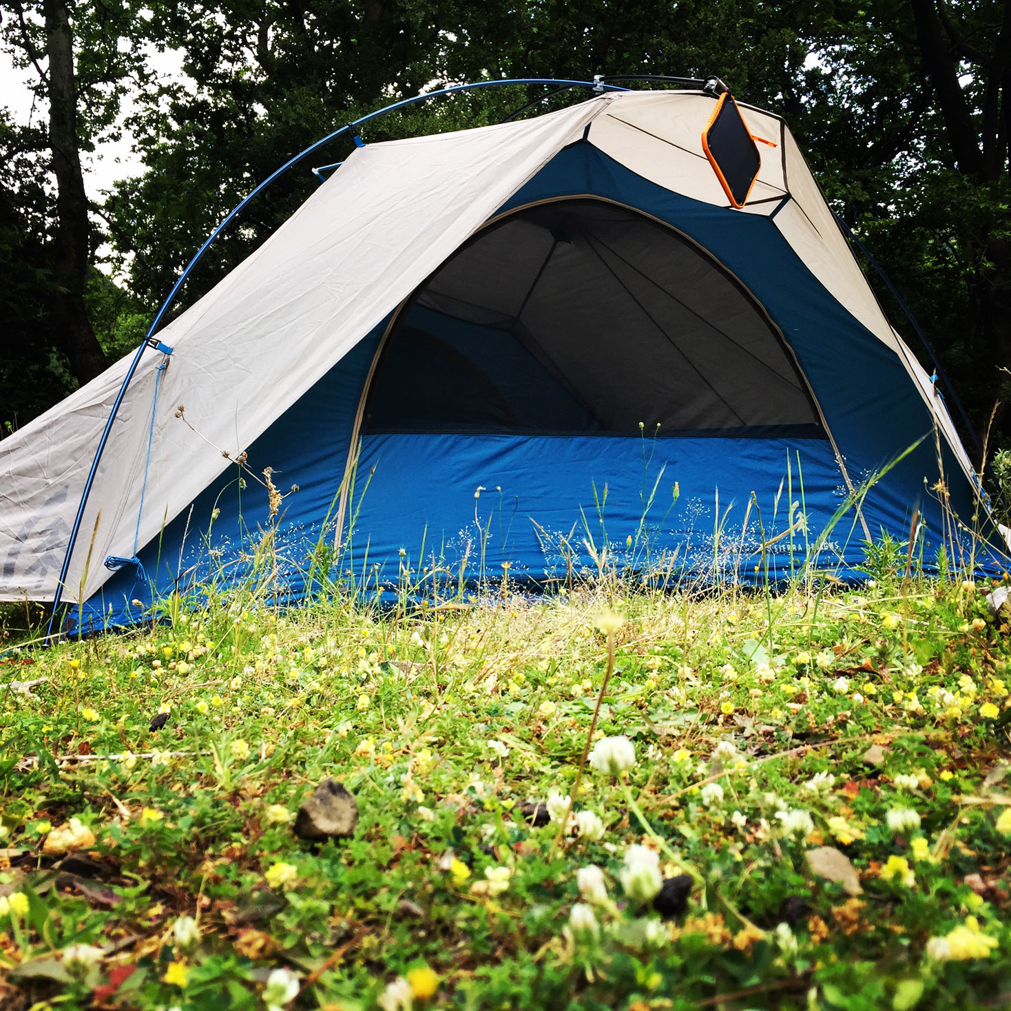 Erymanthos_Mountain_2017_44