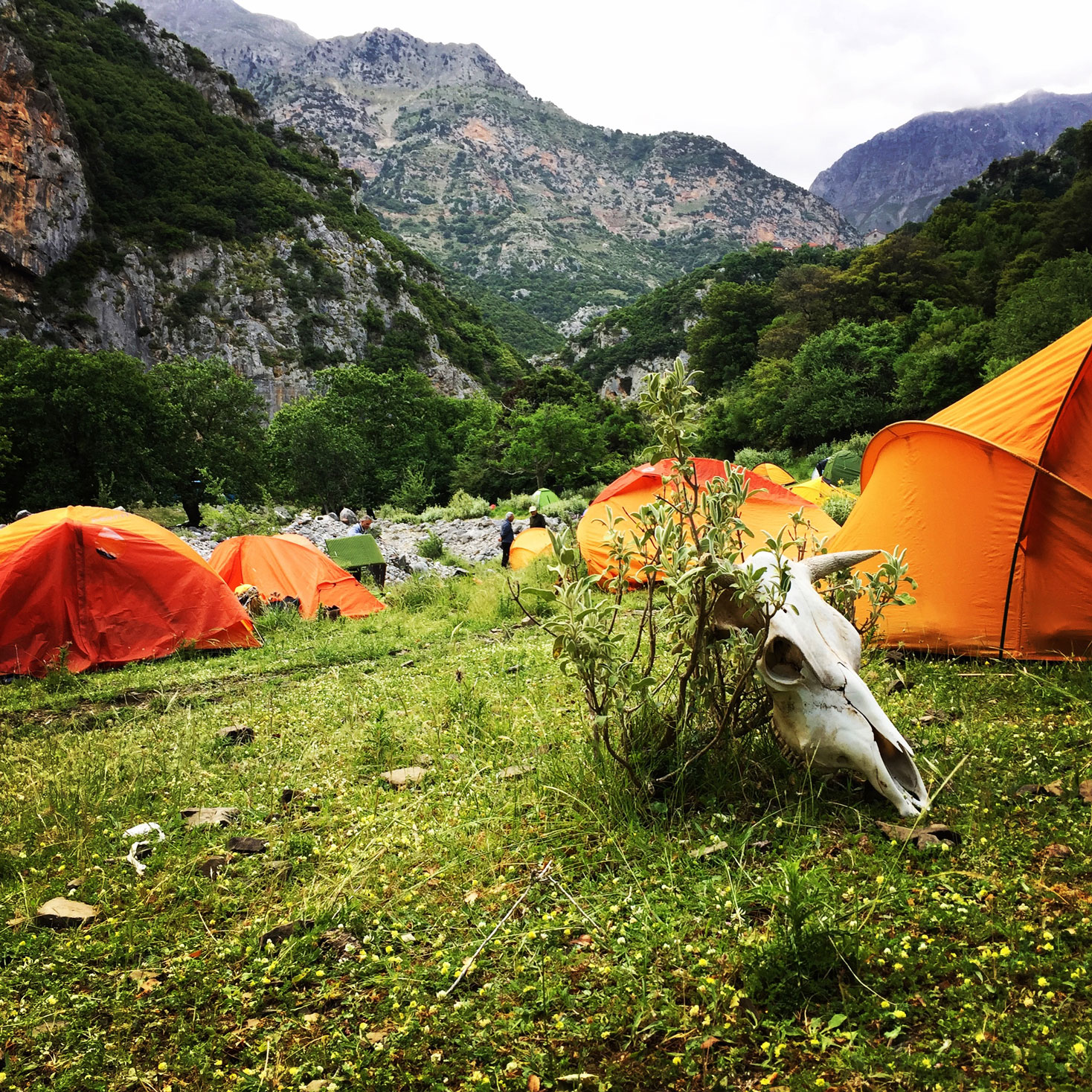 Erymanthos_Mountain_2017_47