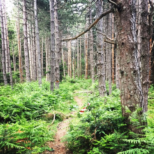 Agrafa_Five_Towers_01