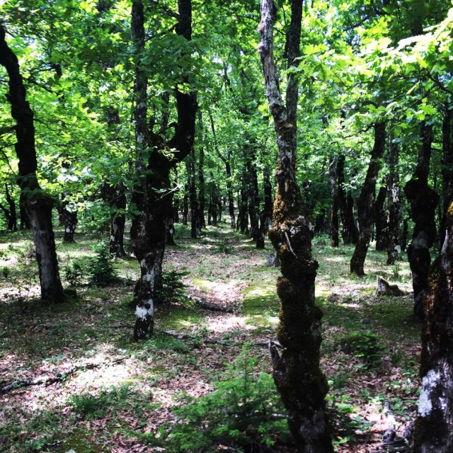 Agrafa_Five_Towers_03