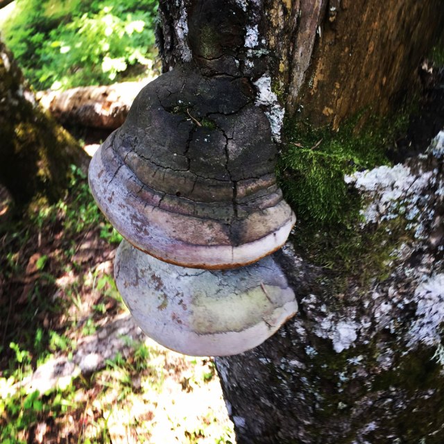 Agrafa_Five_Towers_05