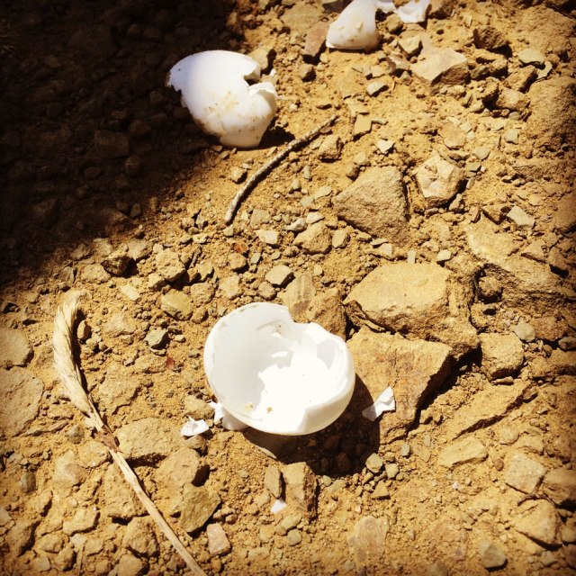 Agrafa_Five_Towers_07