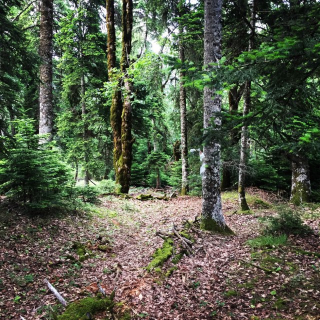 Agrafa_Five_Towers_28