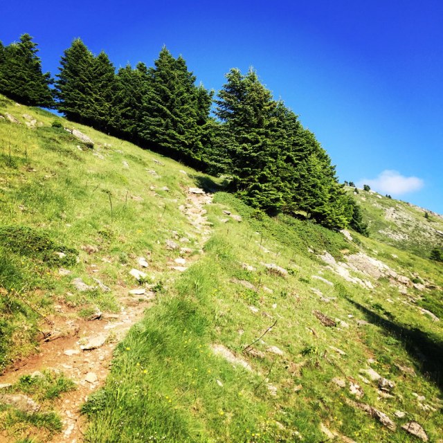 Agrafa_Voutsikaki_03