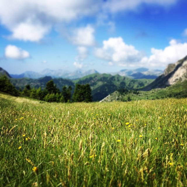 Agrafa_Voutsikaki_15