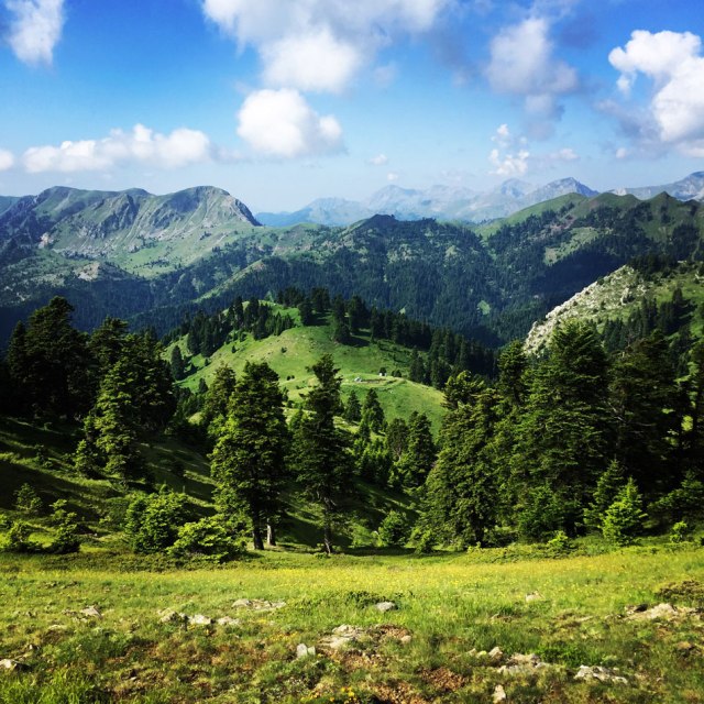 Agrafa_Voutsikaki_16