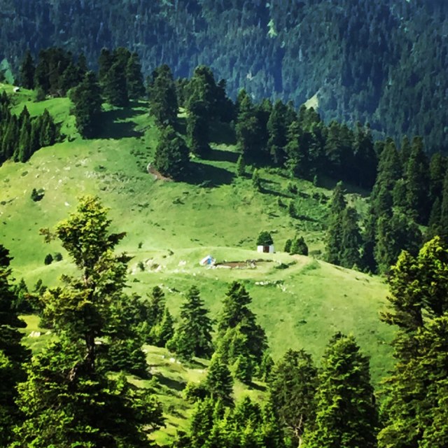 Agrafa_Voutsikaki_17