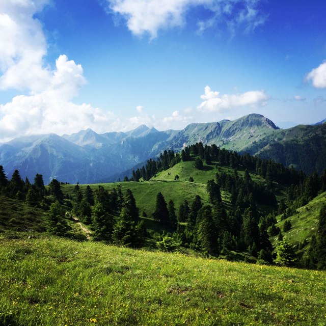 Agrafa_Voutsikaki_18