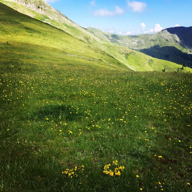 Agrafa_Voutsikaki_19