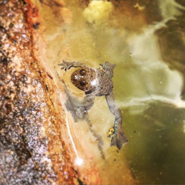 Agrafa_Voutsikaki_25