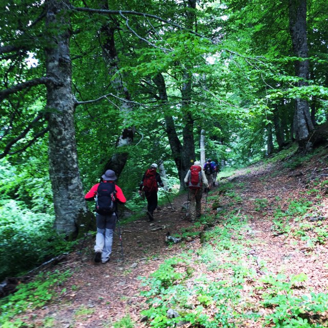 Agrafa_Voutsikaki_26