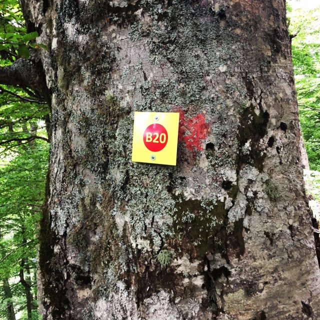 Agrafa_Voutsikaki_27