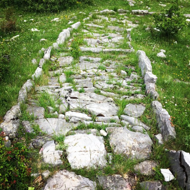 Agrafa_Voutsikaki_29