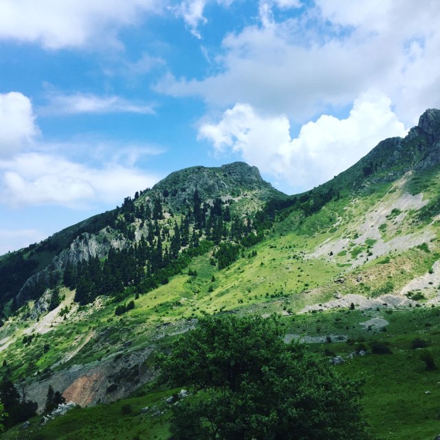 Agrafa_Voutsikaki_30