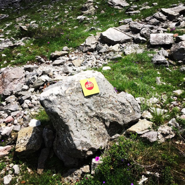 Agrafa_Voutsikaki_31